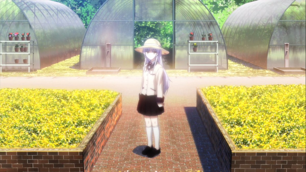 Frito ♨️ tweet media