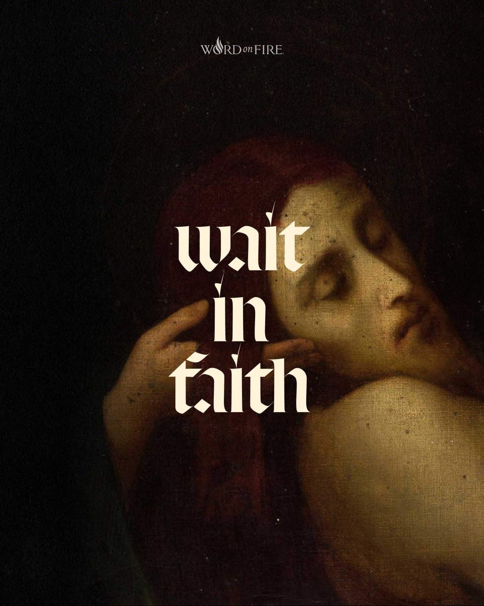 Word on Fire tweet media