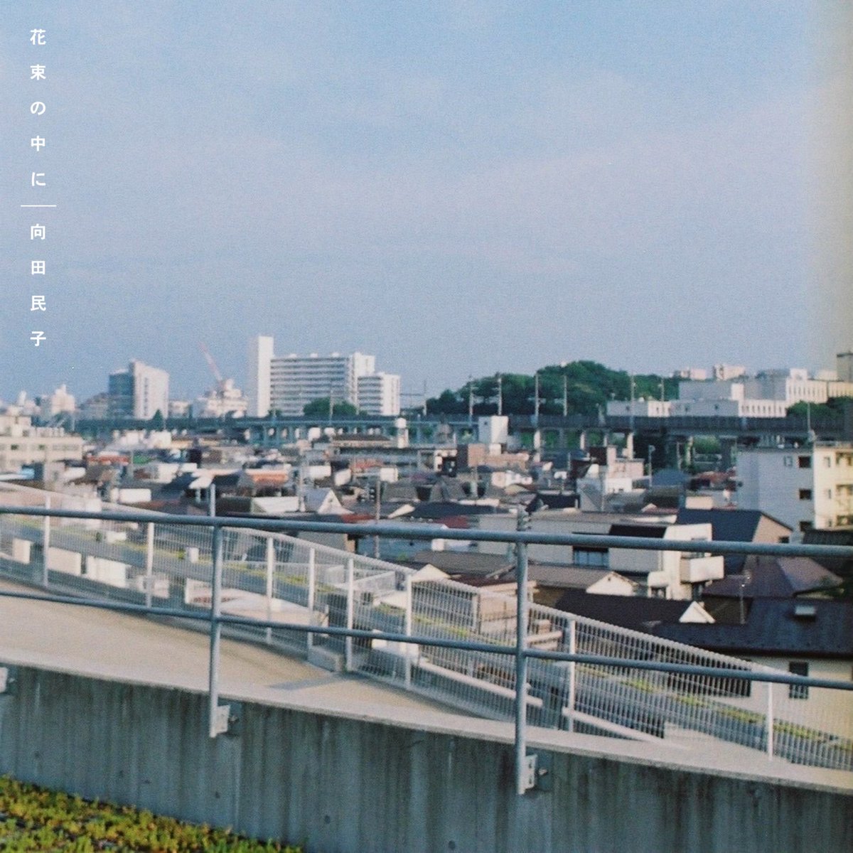 風趣の音楽 tweet media