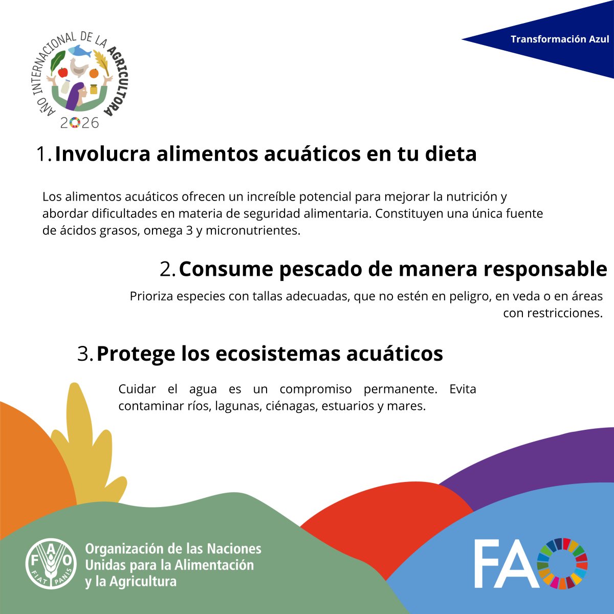 FAO_Colombia's tweet photo. Desde la iniciativa #TransformaciónAzul de FAO en 🇨🇴, compartimos acciones para vivir esta #SemanaSanta como un compromiso con la economía local, la seguridad alimentaria y el desarrollo social y económico, tanto de las generaciones presentes como futuras 🎣🐟

#MejorProducción https://t.co/vEeVkoc5SC