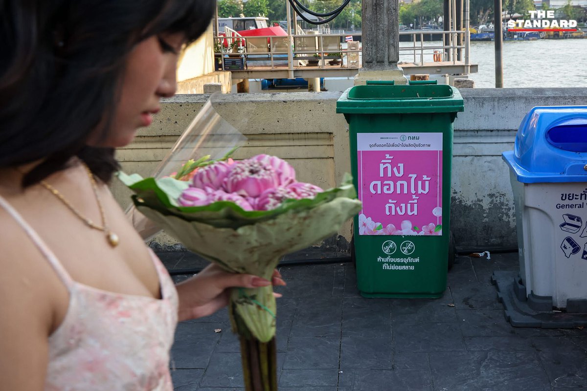 。 Mame 。A Birb from Babylonia tweet media