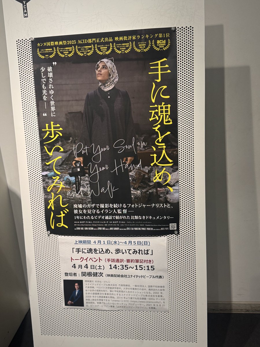 凡人道🍉 tweet media