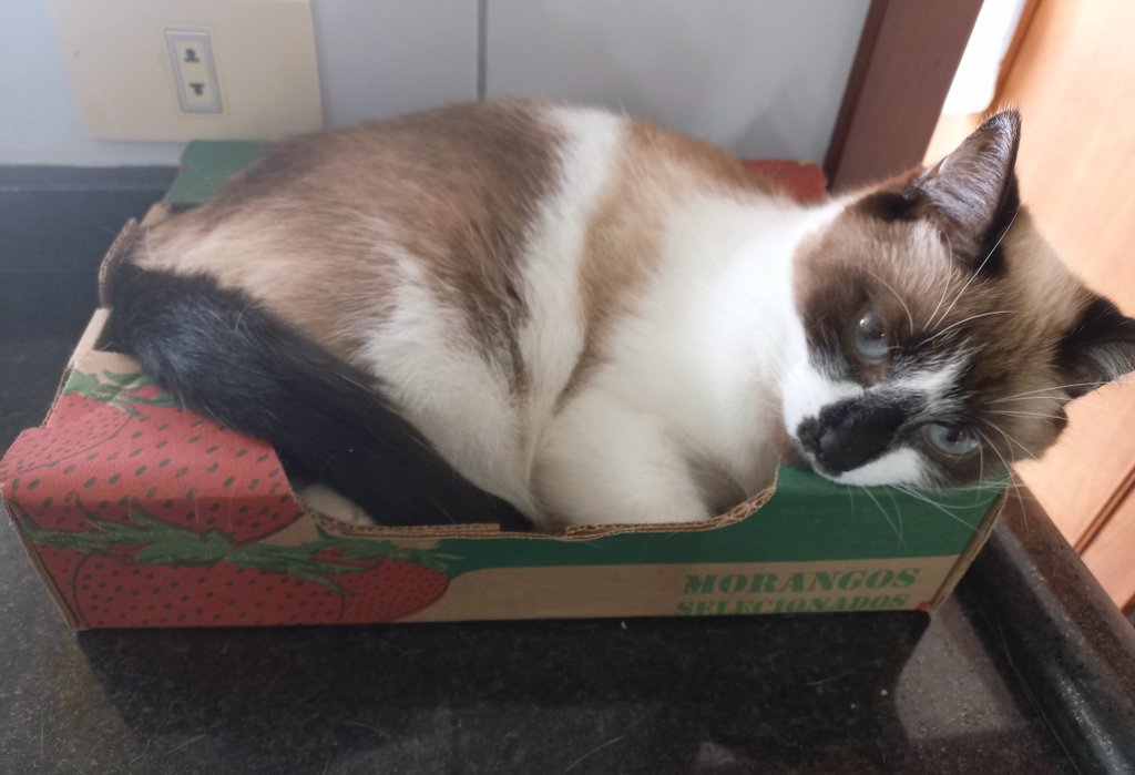 eris 😼 tweet media