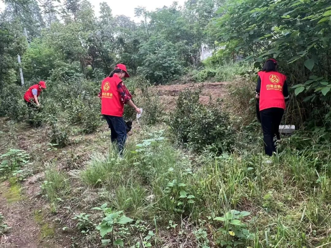 ChristinStarich tweet media