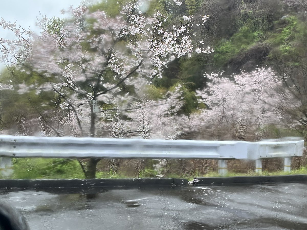 あんらぶ tweet media