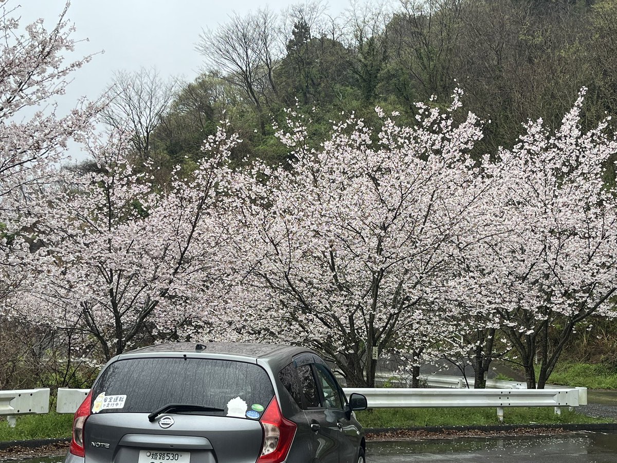 あんらぶ tweet media