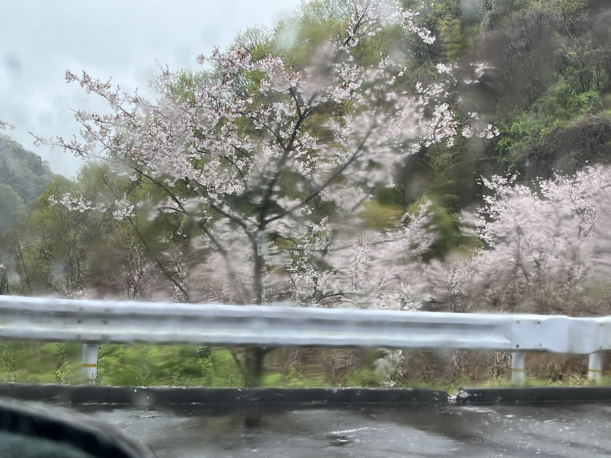 あんらぶ tweet media