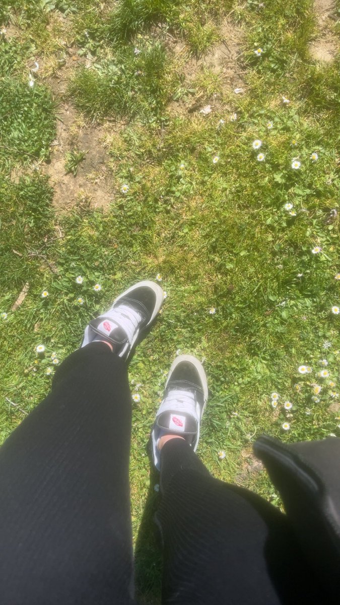 Sam_dctll tweet media