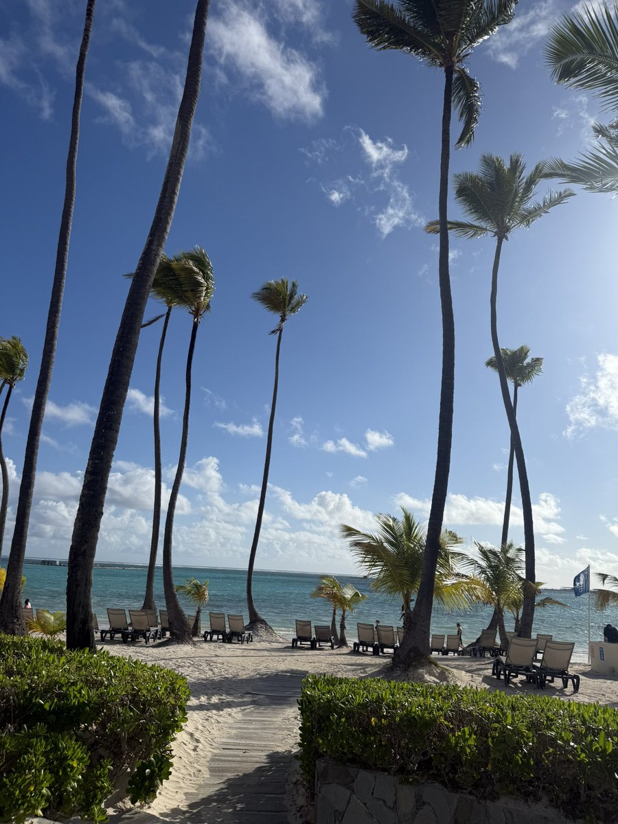 zaf 🌞🛩️ tweet media