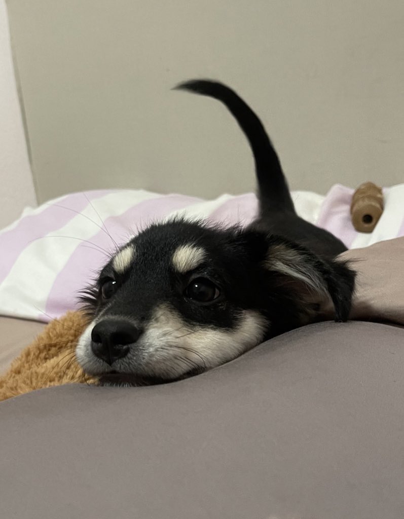 ☃️Nooniiz•ヌン•눈❄️ tweet media