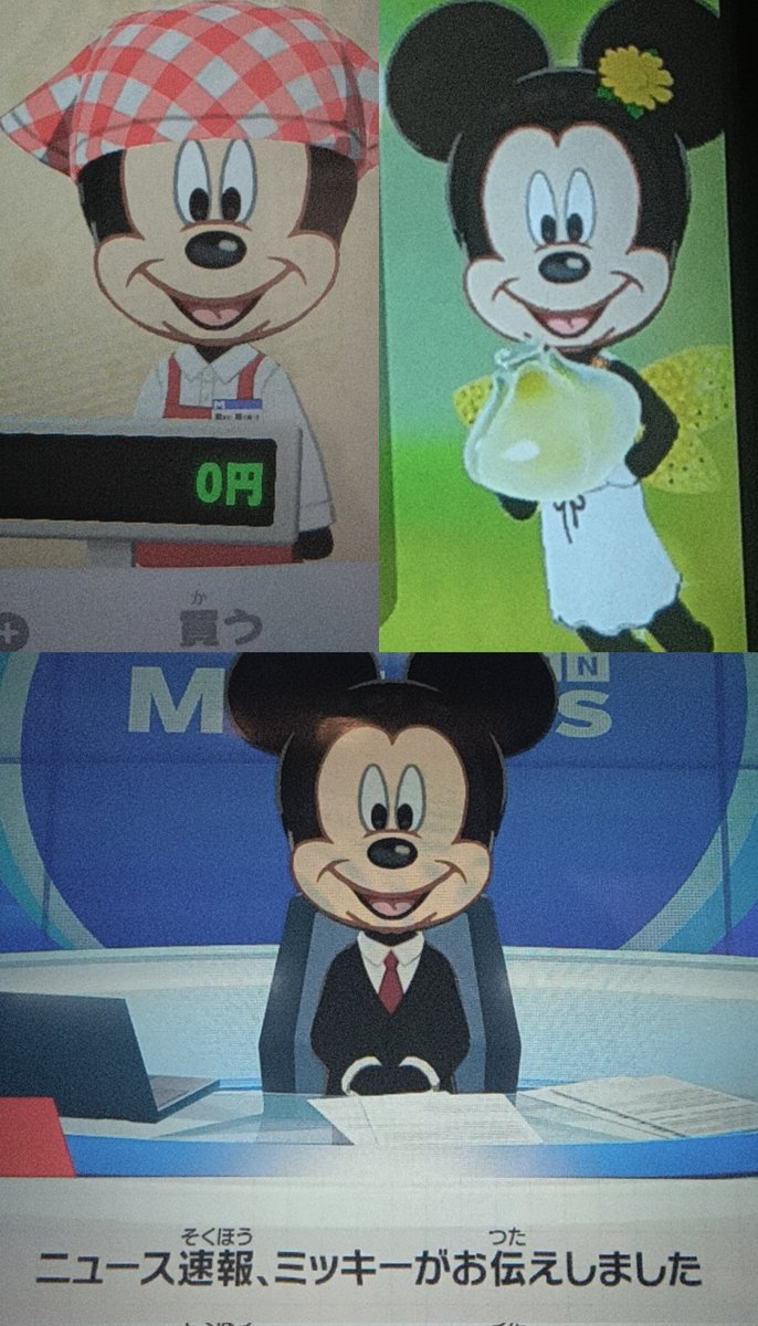 おさしみ(D垢) tweet media