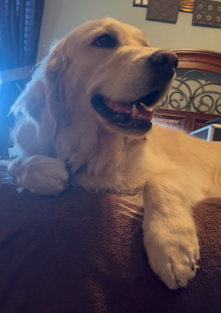 Taylor Joan Carlson tweet media