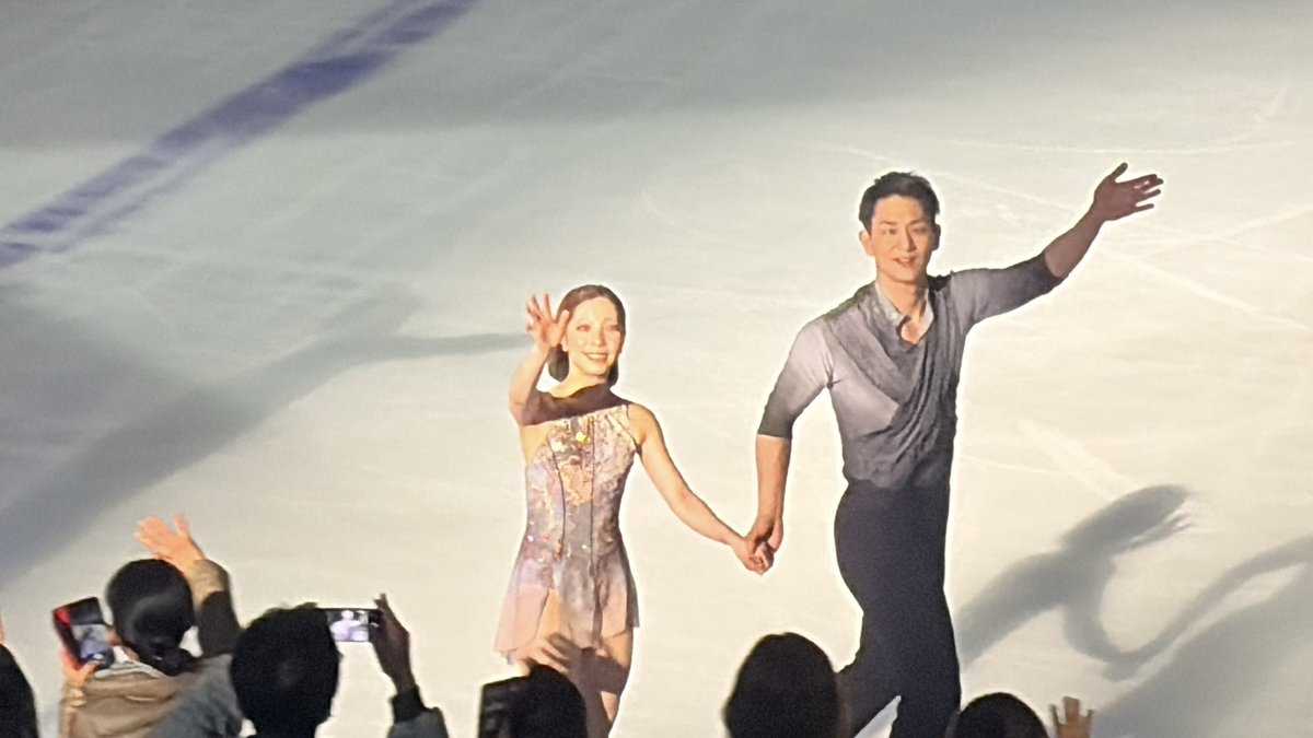 マーメイド tweet media