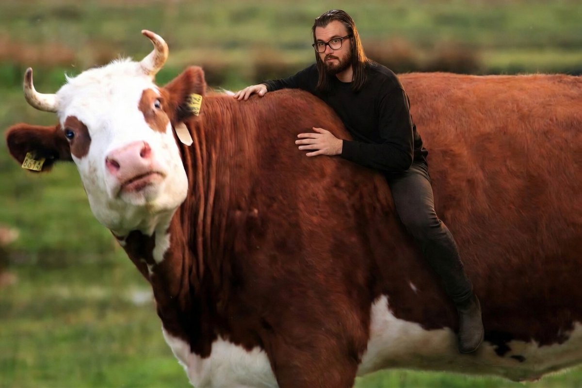 <a href="/Davincij15/">Davinci Jeremie</a> WE NEED MORE DELUSIONAL BULLS !