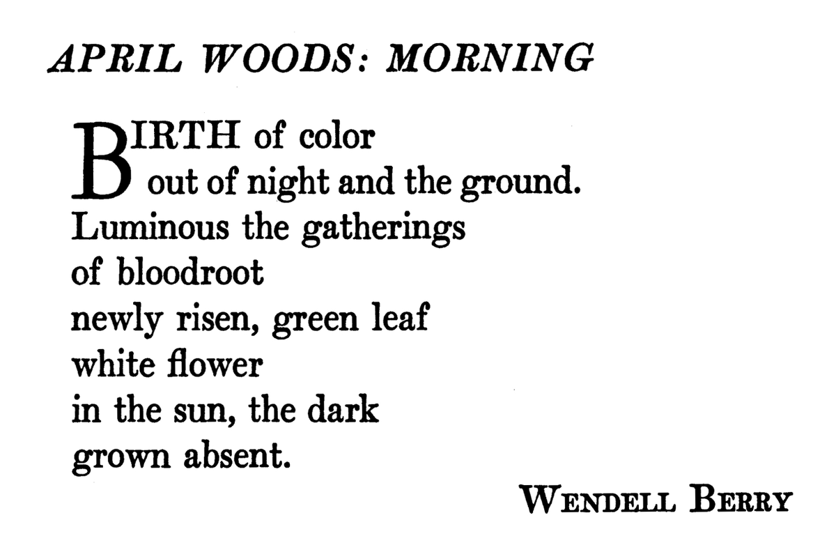 phillip crymble tweet media