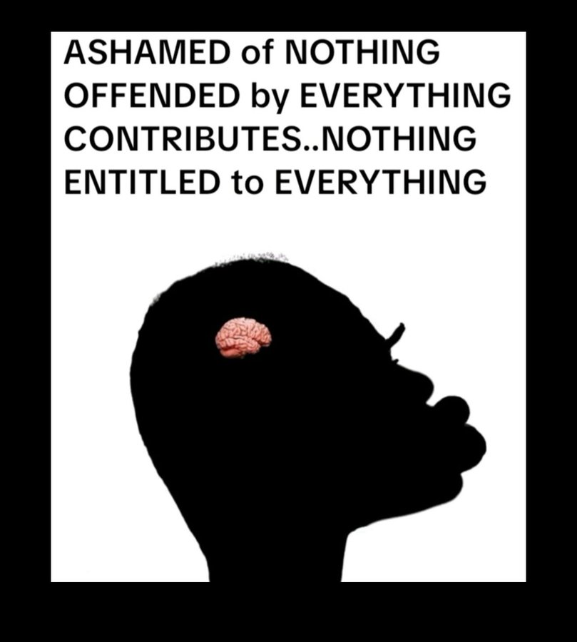 Dragonaus tweet media