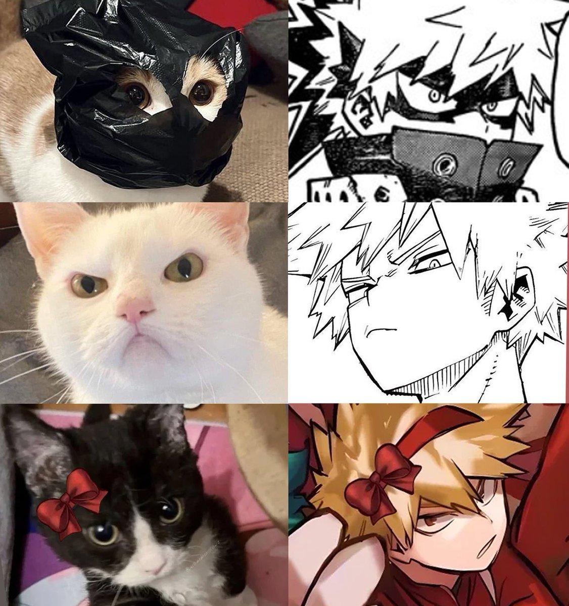 데쿠캇 tweet media