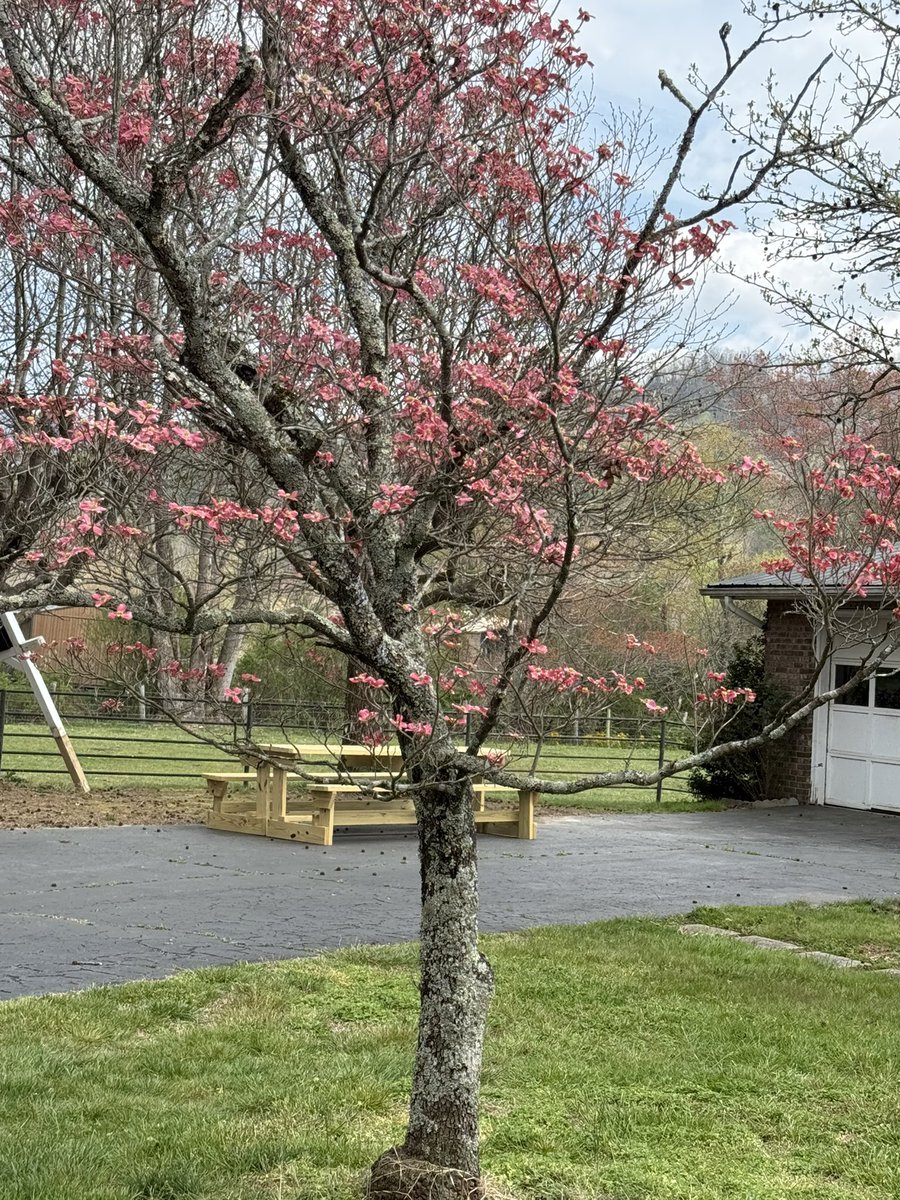 Sisu Strength Club LLC tweet media