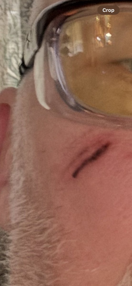 @ Carl2_2Mmmhmm| tweet media