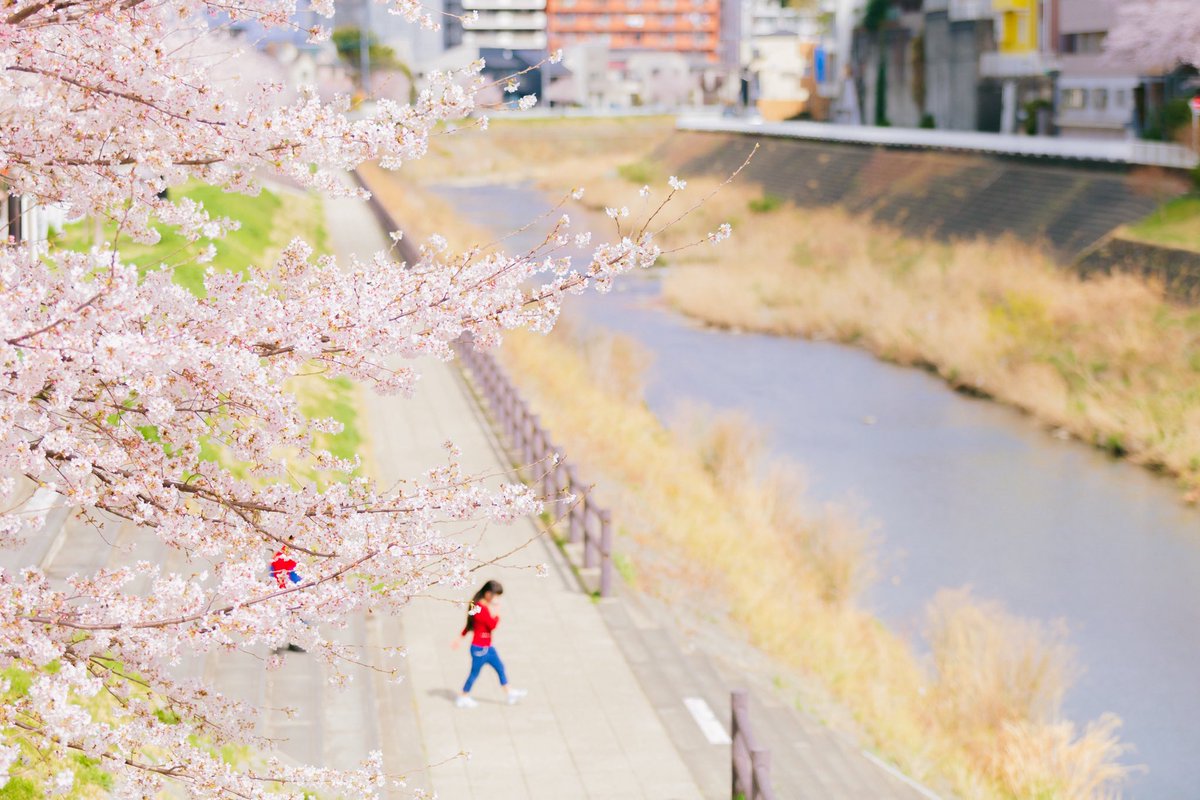 TOGO KiUCHiTTiii tweet media