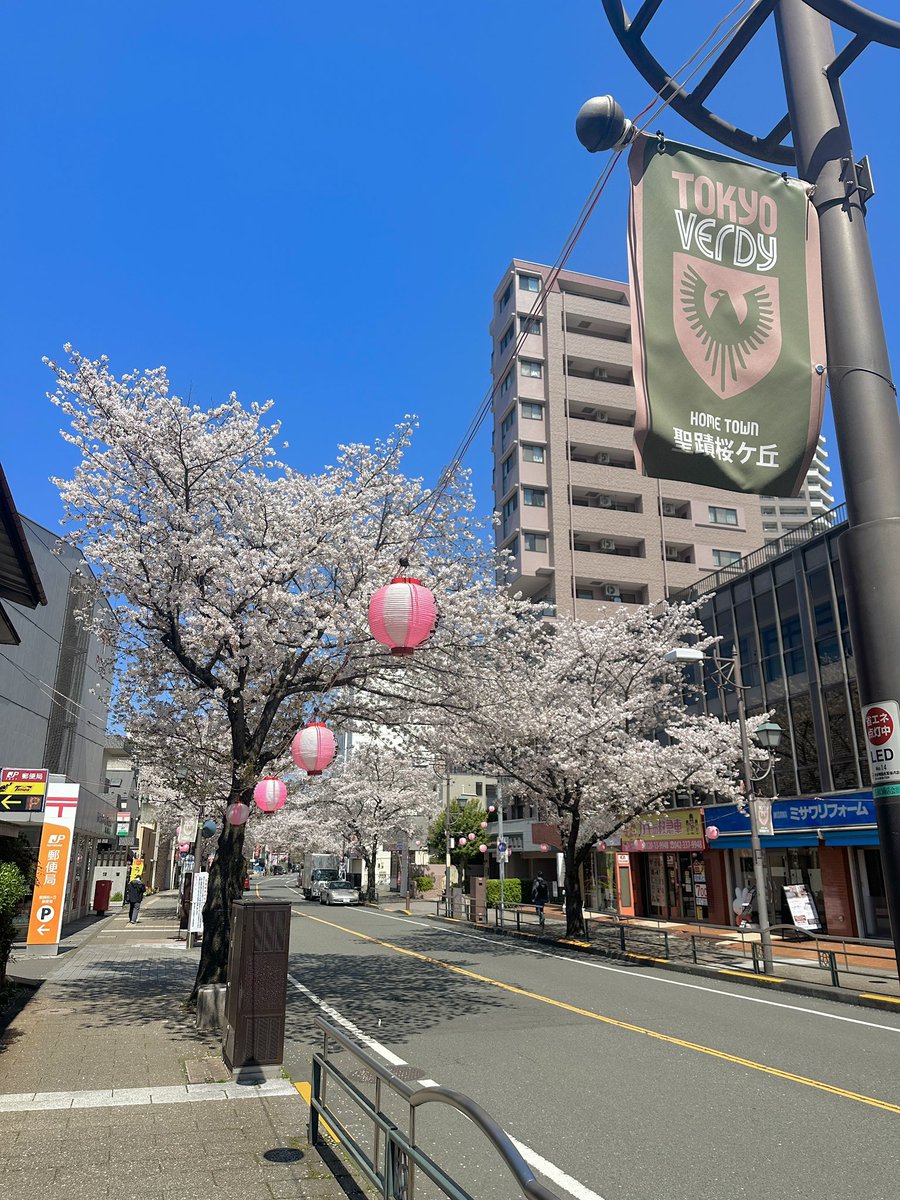 TOGO KiUCHiTTiii tweet media