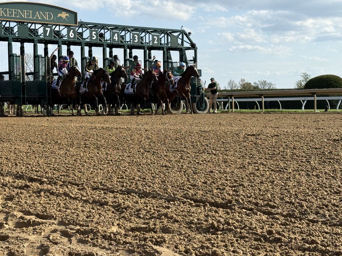 Equibase tweet media