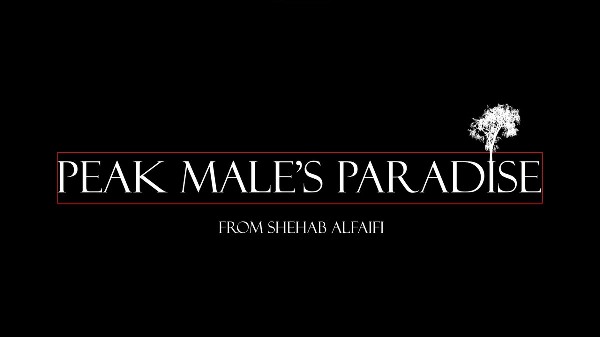 شهاب tweet media