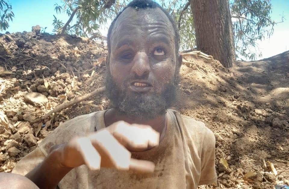 Daoptimist⚓🌊🔥✨ tweet media