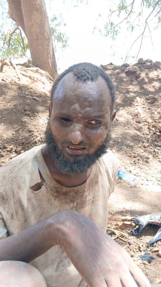 Daoptimist⚓🌊🔥✨ tweet media