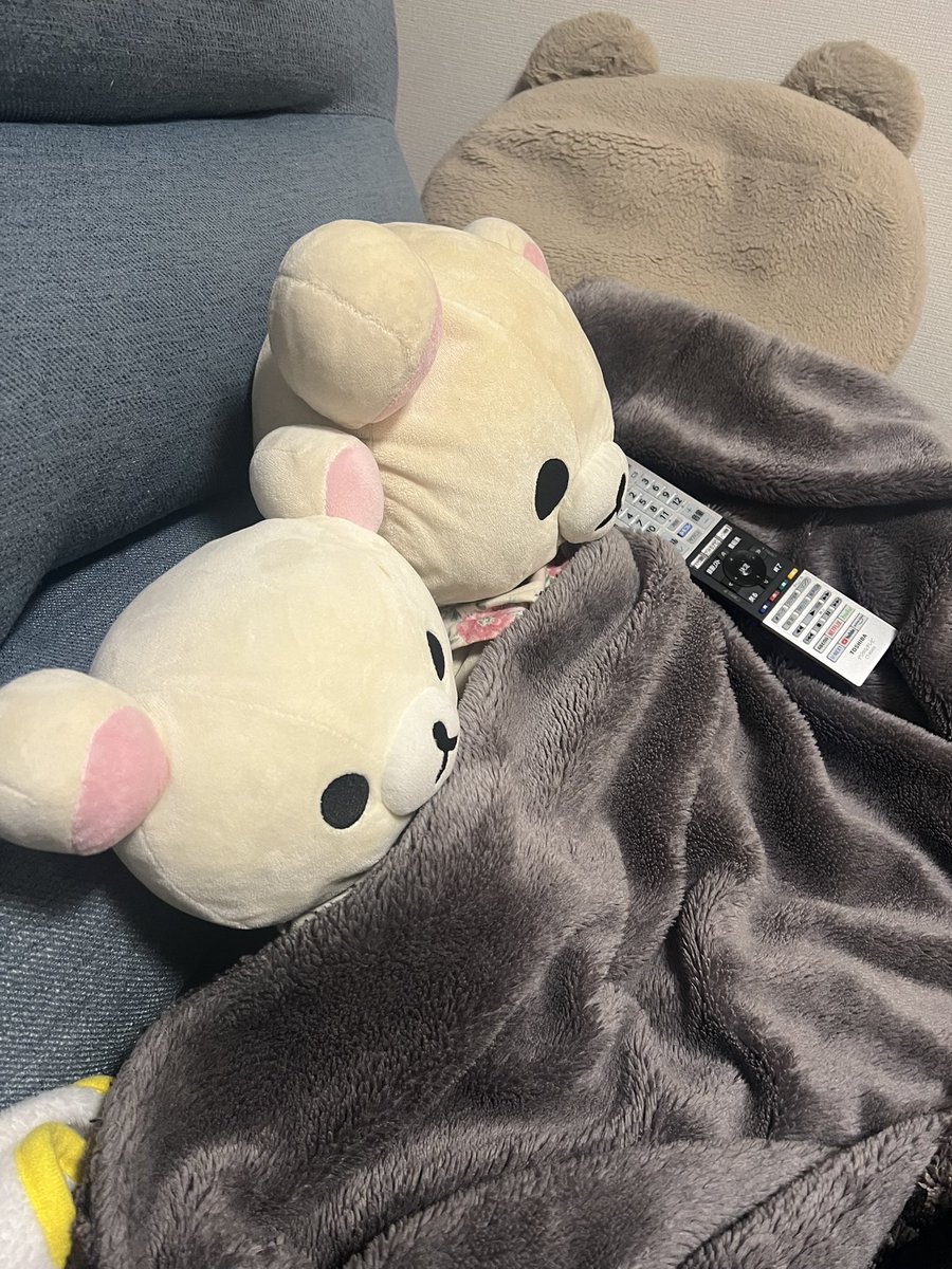 うちの子 tweet media