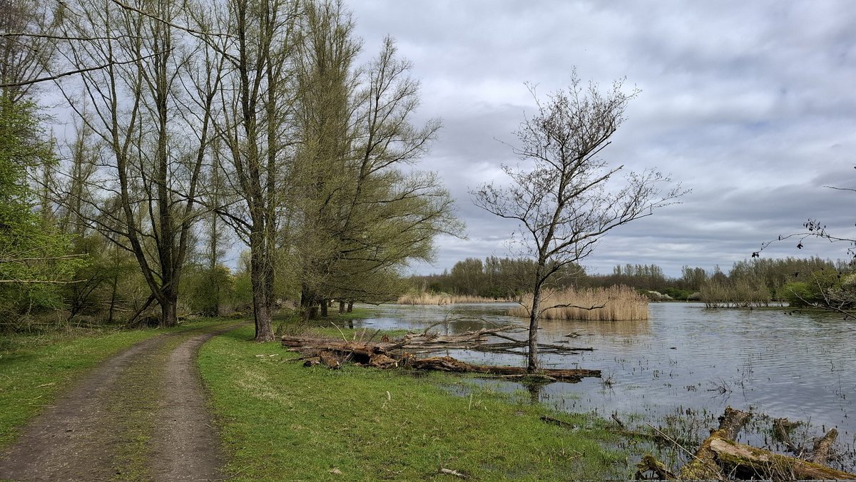 Annemieke 🍄🌼 tweet media