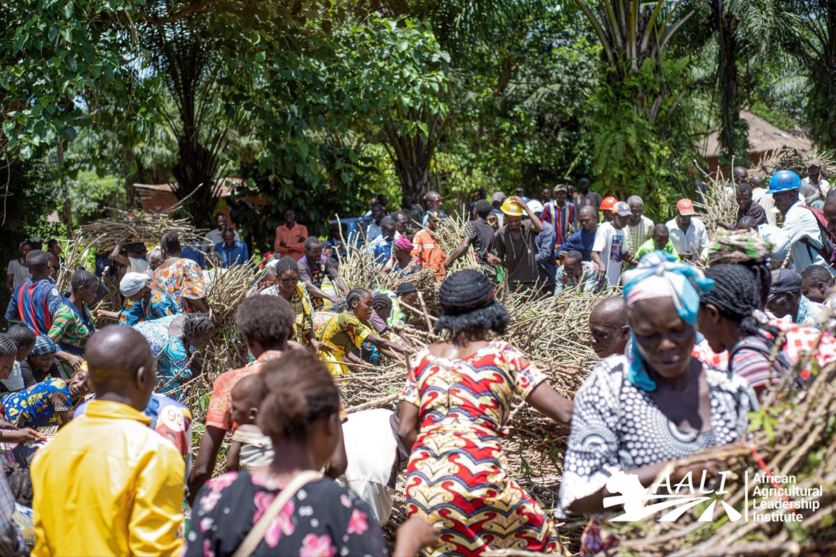 AALI African Agricultural Leadership Institute tweet media