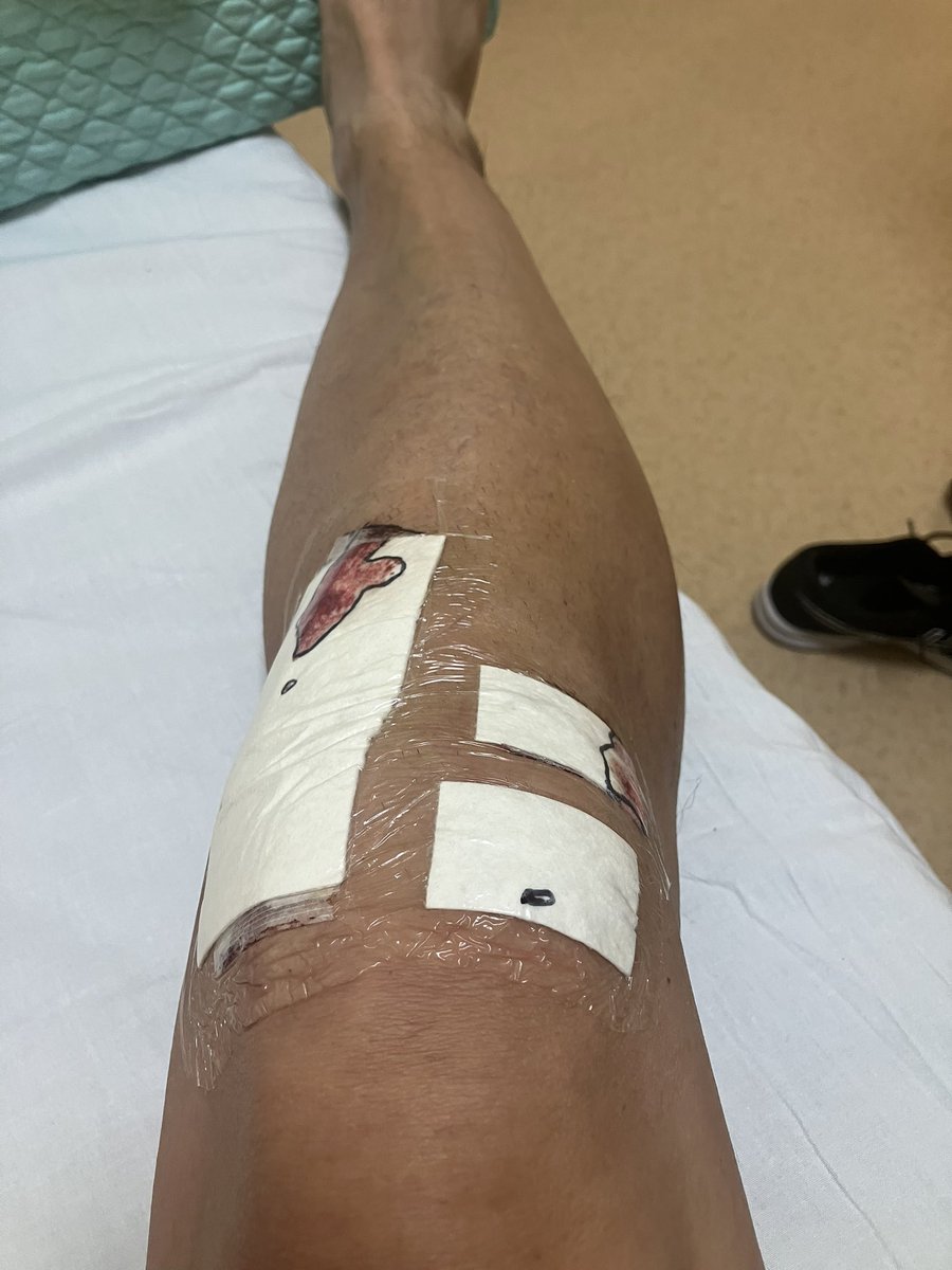 日本海の疾風(カゼ) tweet media