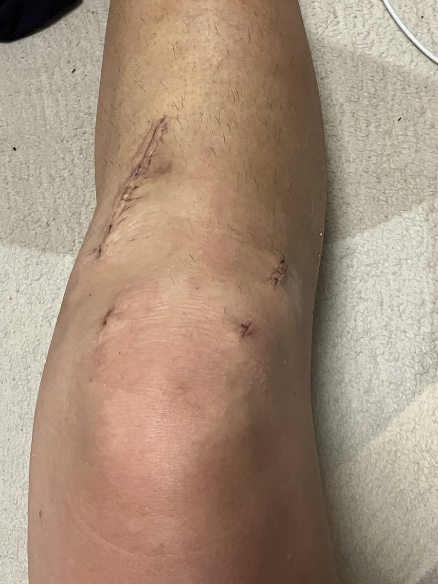 日本海の疾風(カゼ) tweet media