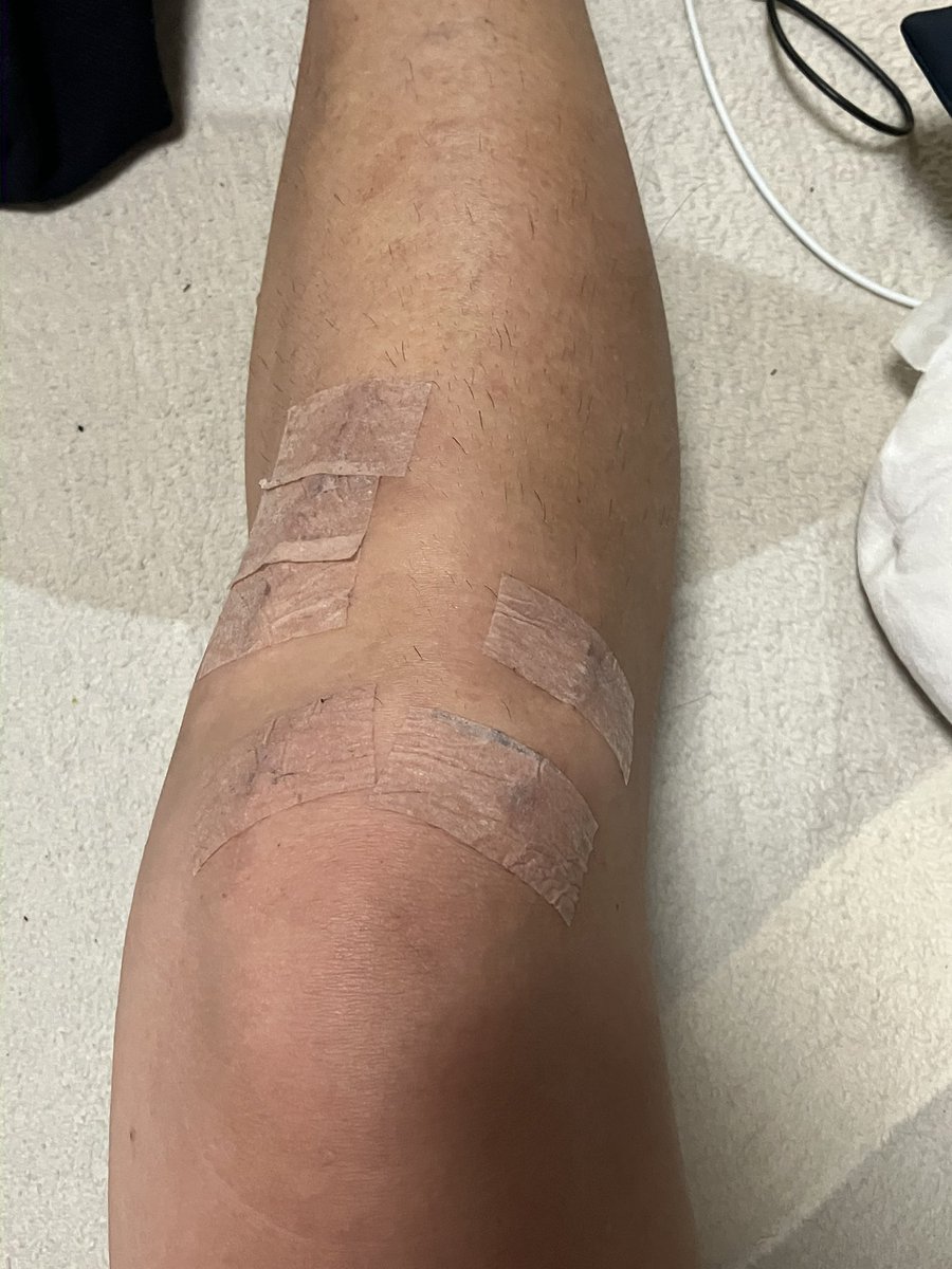 日本海の疾風(カゼ) tweet media