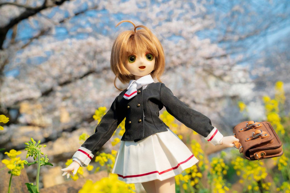 そんなわけで、先日のさくらちゃん写真を
現像しなおしてましたー