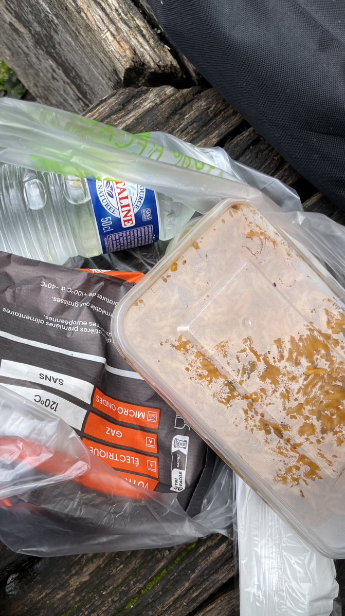 🕸️🇩🇿 tweet media