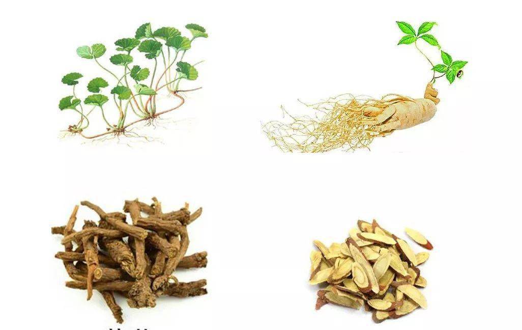 Krasova Natalie tweet media