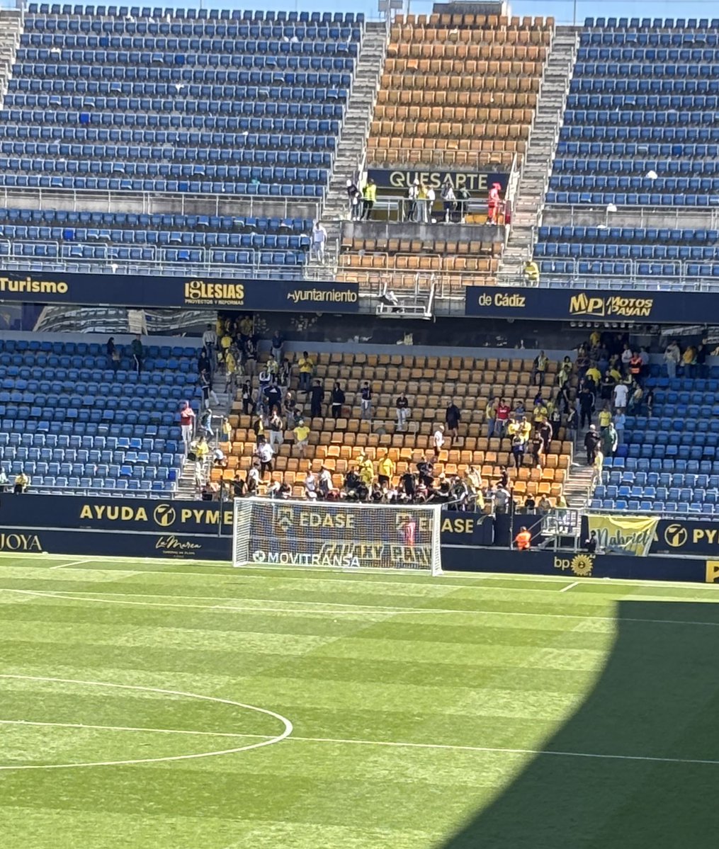 Pepe Pedemonte tweet media