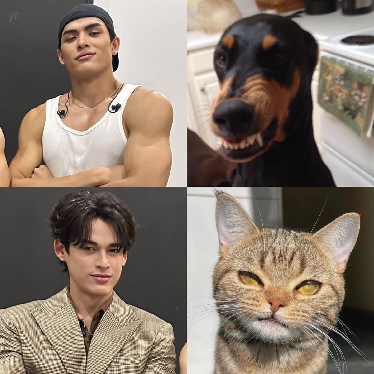 เบบี้พาว ⋆˚🐾˖° for เบบี้ตั้ว🎀✨ tweet media