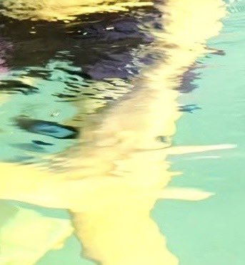 N. ~ มามี๊พี่ลูค ~🤍 tweet media