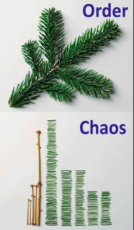 Bogdan Stefan tweet media