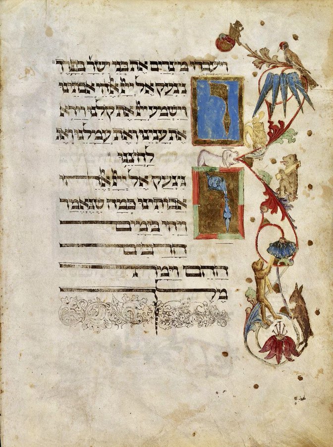 red_loeb's tweet image. Creatures in the margin of the 'Ashkenazi Haggadah'
#Passover  
BL Add 14762; the 'Ashkenazi Haggadah', with commentary of Eleazar of Worms; 1460 CE;  f.13v
@BLAsia_Africa
@BL_HebrewMSS