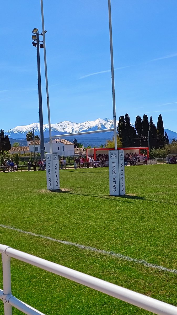 Oscar Martín 🏉 tweet media