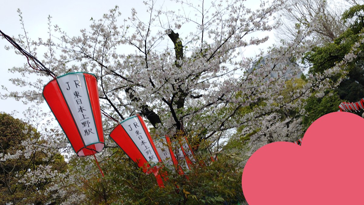 あずき tweet media