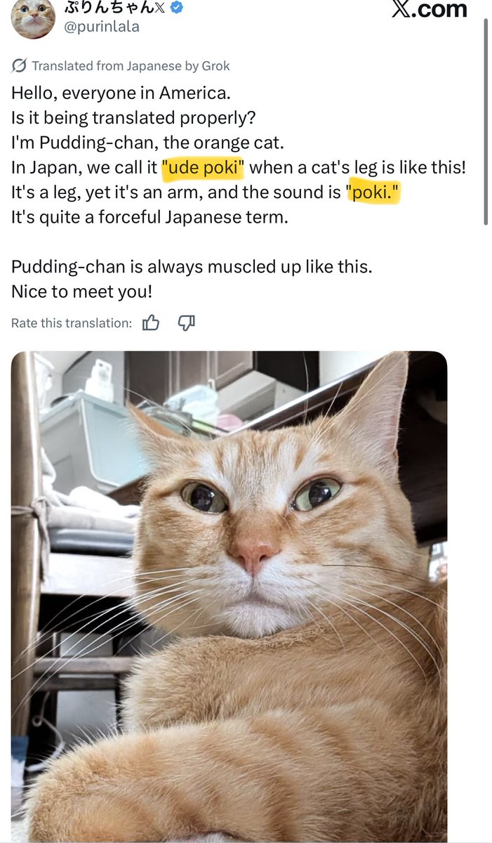 SoothSpider 🇨🇦🍁🧡真🔬💻Ω 🐶😼🌎 tweet media