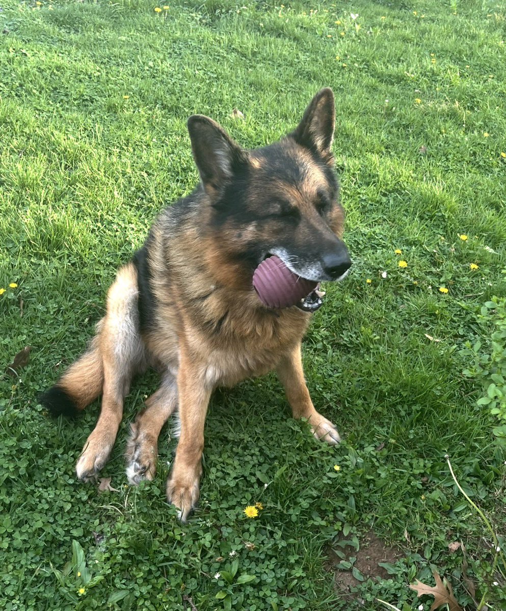 gabi 🩷 tweet media