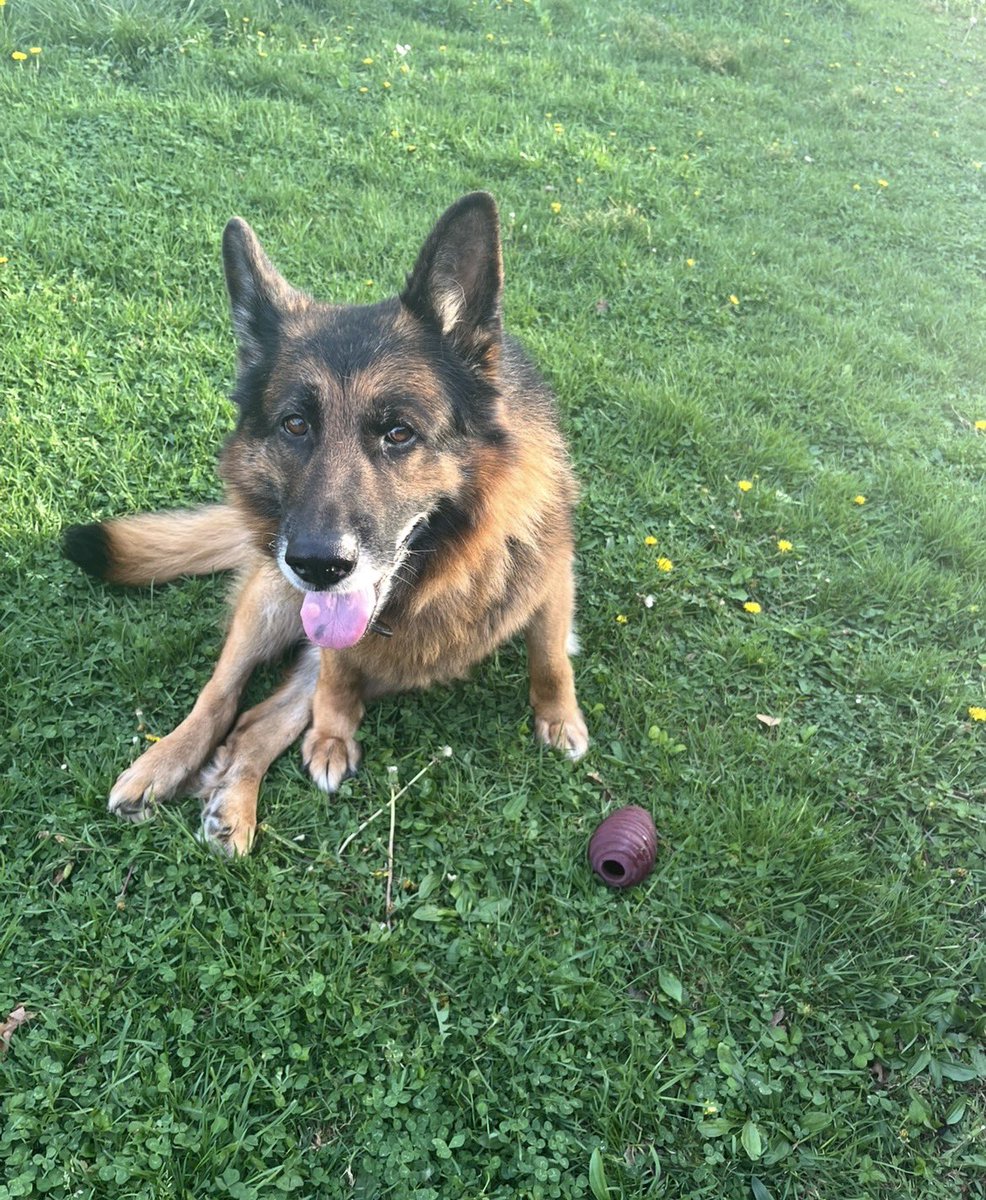 gabi 🩷 tweet media