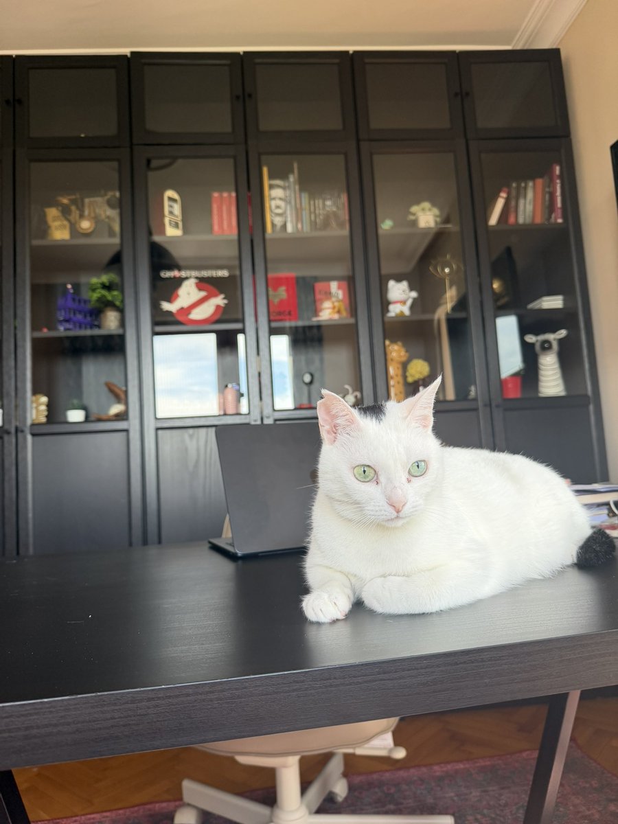 muhteşembirhayatınkeyifliufakdetayları tweet media