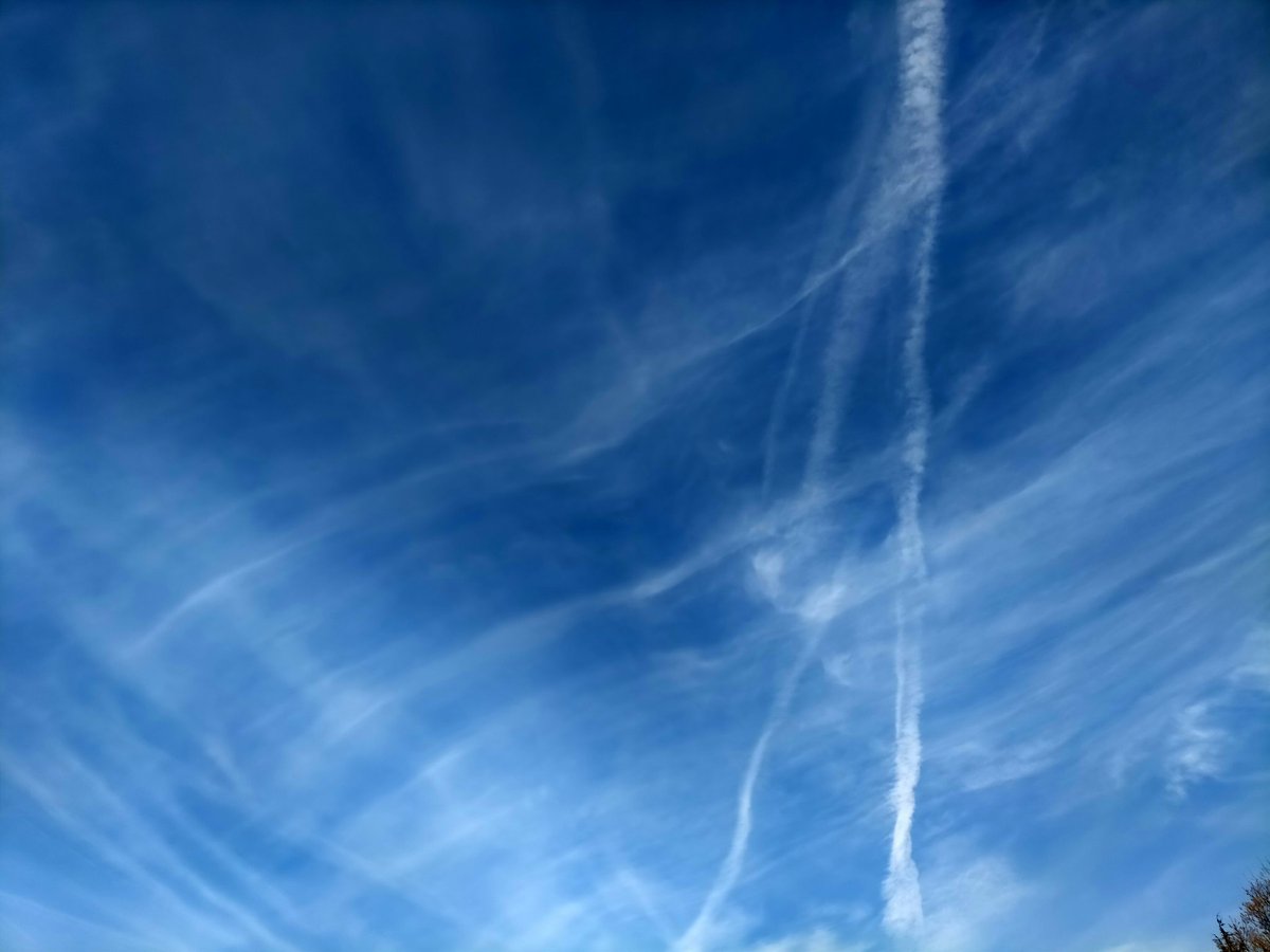 xanastur_79 tweet media